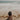 Barely There Bikini Bottom - Rich